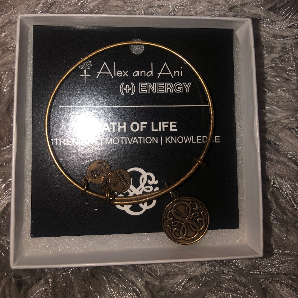 Alex and Ani Path of Life Bracelet
